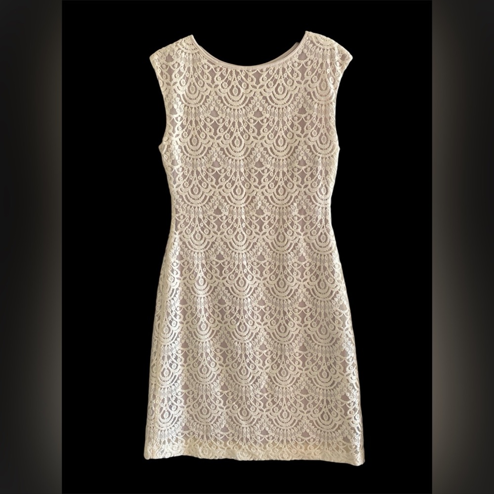 Women's Cream Lace Sheath Dress